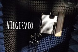 Студия звукозаписи Tiger Vox Records, с рейтингом 4.7 - находится по адресу Челябинск, улица Молодогвардейцев, 33Б 