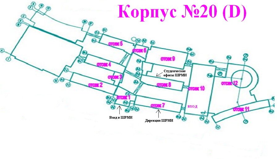 Карта двфу. ДВФУ план корпусов. ДВФУ корпус d. План зданий ДВФУ. ДВФУ схема корпусов.