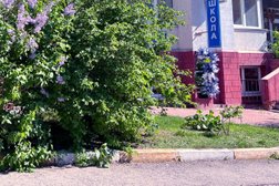 Всероссийское общество автомобилистов