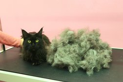 Груминг-центр Твой грумер, с рейтингом 3 - находится по адресу Москва, улица Генерала Белобородова, 24 