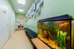 Интерактивная школа I-school, с рейтингом 4 - находится по адресу Нижний Новгород, Республиканская улица, 14 