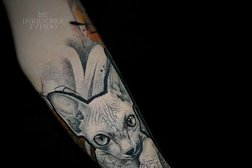 Студия Веселая жизнь, с рейтингом 5 - находится по адресу Краснодар, Садовая улица, 161/2 лит2 