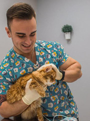 Ветеринар, ветеринарный врач УЗИ Денис Игоревич Мартынов