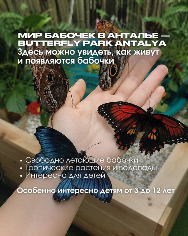 фотография Турагентства Travelata на метро ВДНХ