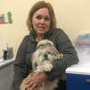 фото от пользователя Людмила  в отзыве о ветеринарной клинике Белый Боксер
