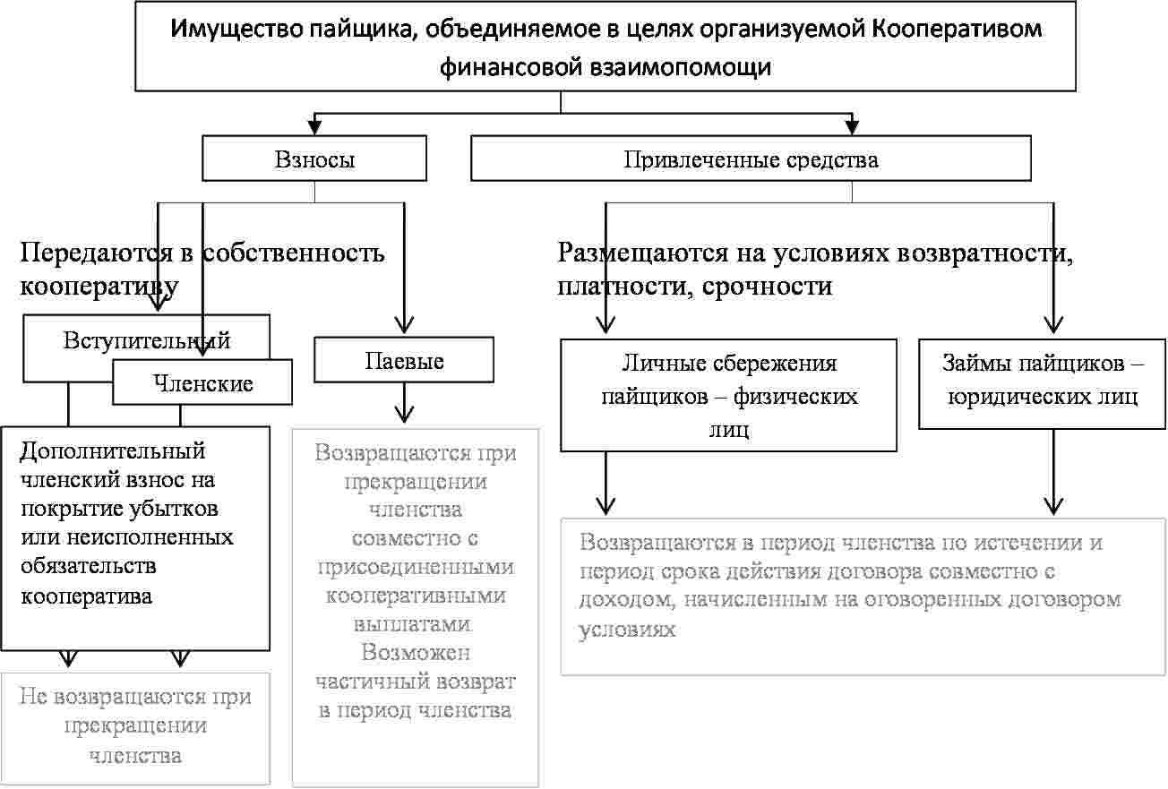 Объединение имущественных паевых взносов. Пайщики кооператива. Паевые взносы в потребительском кооперативе. Потребительский кооператив возврат паевого взноса. Паевой взнос это в кооперативах.