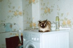 Сад памяти Memory Animals, с рейтингом 3.4 - находится по адресу Екатеринбург, Слободской переулок, 38 