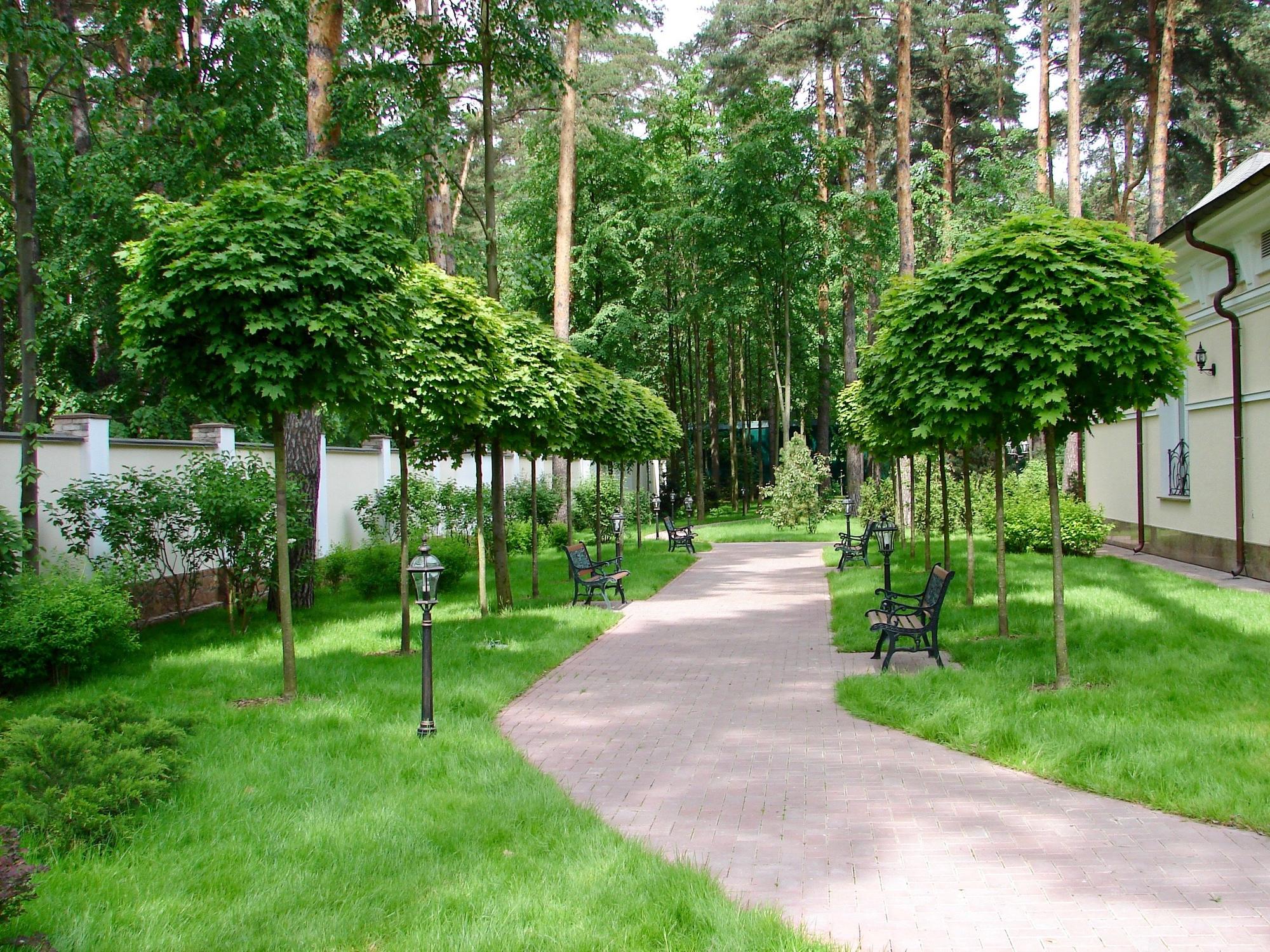 Частный московский сад где снимаю фото