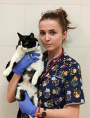 Николаенко Ольга Андреевна