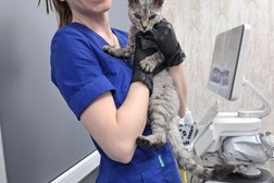 Ветеринарная клиника Вайт, с рейтингом 2.8 - находится по адресу Республика Карелия, Петрозаводск, Фрунзе, 14а 