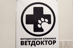 Ветеринарная клиника Ветдоктор, с рейтингом 4.9 - находится по адресу Воронеж, Ленинский проспект, 158/2 