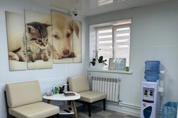 Зоогостиница и груминг-студия КОТиПЕС, с рейтингом 4.2 - находится по адресу Самарская область, Сызрань, Сланцевая 1-я, 12 