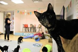 Антикафе Cat Space, с рейтингом 4.4 - находится по адресу Томск, Тверская улица, 92 