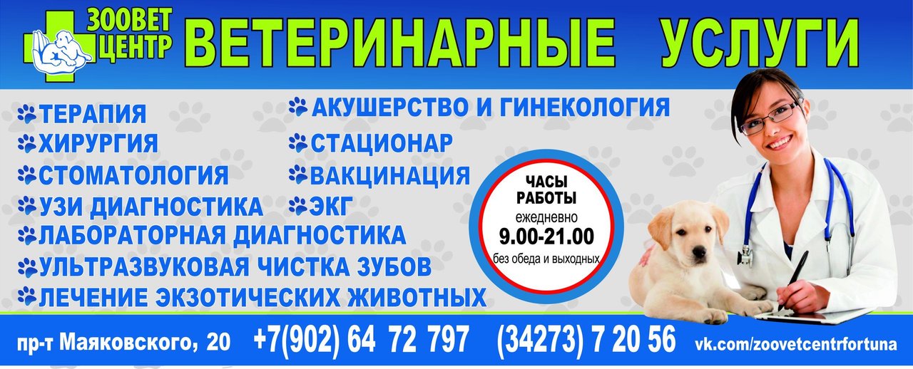 Государственная ветклиника