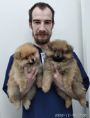 Белов Федор Дмитриевич