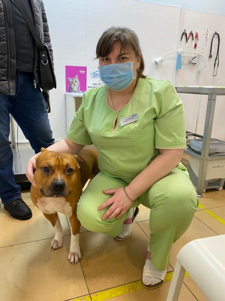 Ветеринарная клиника Свой Доктор на метро Новогиреево - отзывы, фото ...