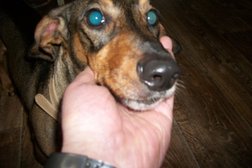 Ветеринарный госпиталь Абажур, с рейтингом 3.2 - находится по адресу Барнаул, Весёлая улица, 5 