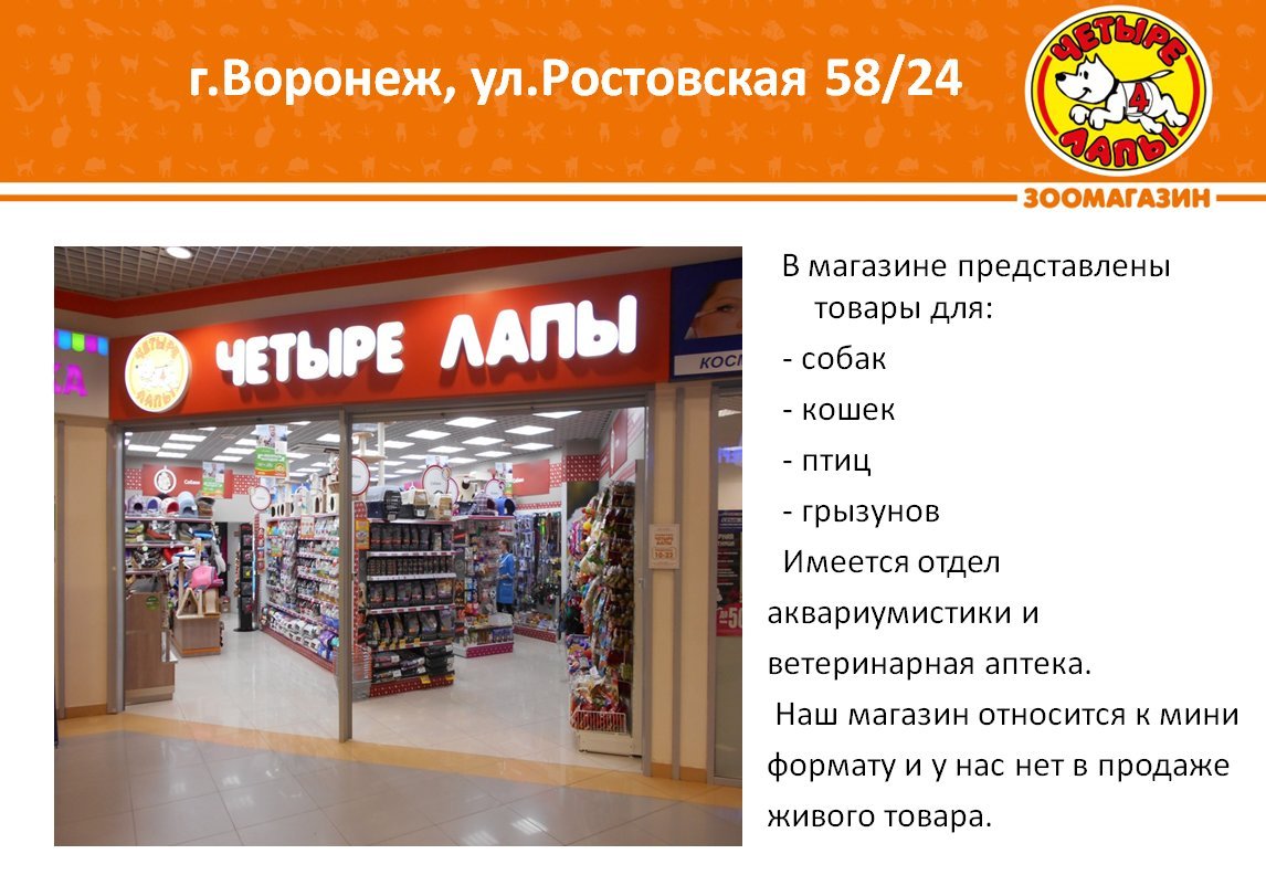4 Лапы Интернет Магазин Воронеж Каталог