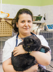 Ветеринарный врач-терапевт, ветеринар Ирина Вячеславовна Андреева
