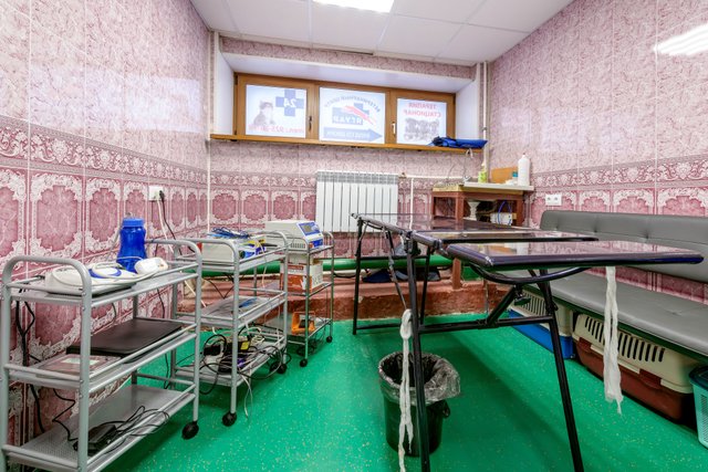 Ягуар ветклиника. Витебский проспект 41к1. Витебский проспект 41 к1 санкт-петербург. Ягуар ветклиника. Лео леопард.