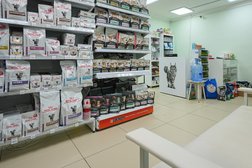 Ветеринарная клиника Друг, с рейтингом 4.9 - находится по адресу Самара, проспект Металлургов, 71 