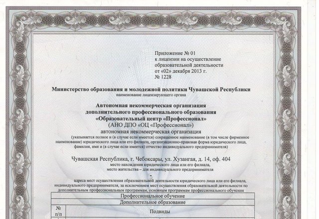 автономная некоммерческая организация дополнительного образования профессионал автономная некоммерческая организация дополнительного образования профессионал