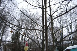 Детский сад общеразвивающего вида №44, с рейтингом 4.1 - находится по адресу Иваново, улица Шубиных, 7а 