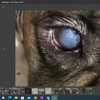 фото от пользователя Сергей в отзыве о ветеринарной клинике СоВет