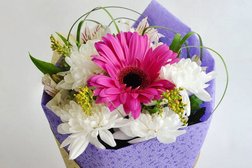 Служба доставки цветов Flogoods, с рейтингом 2 - находится по адресу Тольятти, улица Карла Маркса, 57 