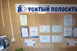 Ветеринарная клиника Усатый Полосатый, с рейтингом 2.5 - находится по адресу Оренбург, Северный проезд, 14 