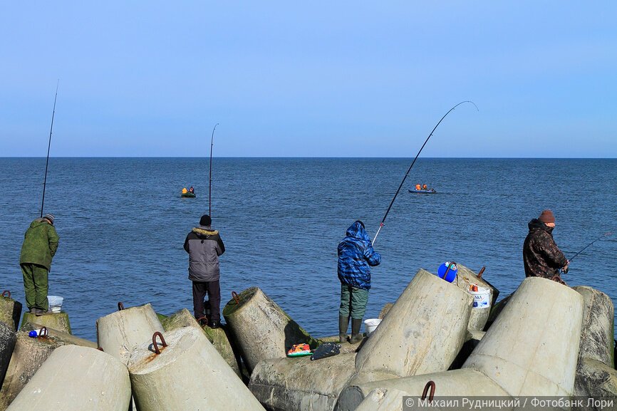 Четыре рыбака с удочками на берегу Балтийского моря
