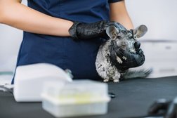 Многопрофильный ветеринарный центр Евровет, с рейтингом 4.1 - находится по адресу Омск, улица 70 лет Октября, 20 