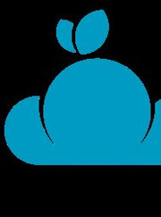 Бизнес-консультант, системный администратор Дархан Сейтжанович Бакимбаев