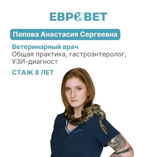 Анастасия Сергеевна Попова