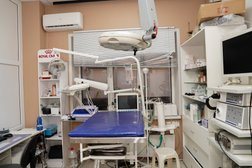 Ветеринарная клиника Зверополис, с рейтингом 4.7 - находится по адресу Воронеж, бульвар Победы, 50 