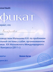 Ветеринар, ветеринарный врач-терапевт Андрей Валерьевич Шапкин