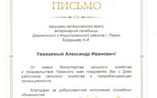 сертификат/документ ветеринара Александра Ивановича Бурдышева