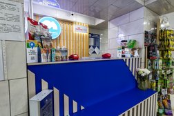 Ветеринарная клиника Белая Медведица, с рейтингом 4.8 - находится по адресу Иркутск, Лермонтова, 94 