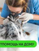 Гриньке Алена