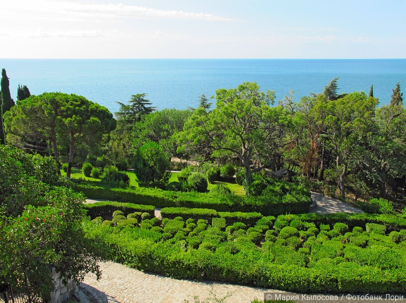 Алупкинский парк солнечным днём