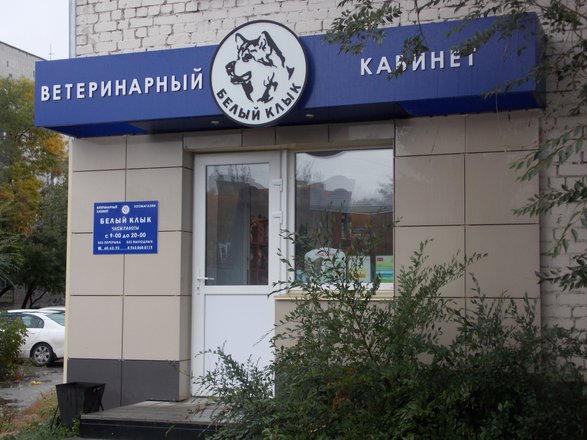 Ветклиника учхоз ульяновск. Ветклиника учхоз ульяновск