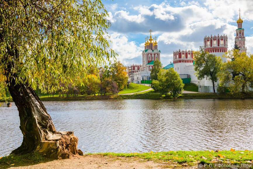 Вид на Новодевичий монастырь осенью