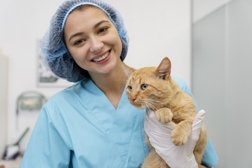Станция скорой ветеринарной помощи и зоогостиница Любимец, с рейтингом 5 - находится по адресу Москва, улица Дыбенко, 22/2 