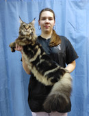 Кантемирова Мария