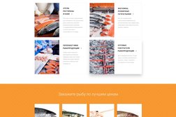 Web-студия Аффетта, с рейтингом 5 - находится по адресу Краснодар, улица Красных Партизан, 218 