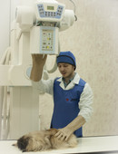 Абросимов Евгений Валерьевич