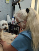 Кравцова Елена Валерьевна