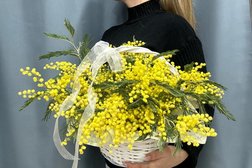 Салон цветов Грация Розы, с рейтингом 4.7 - находится по адресу Москва, Химкинский бульвар, 17 