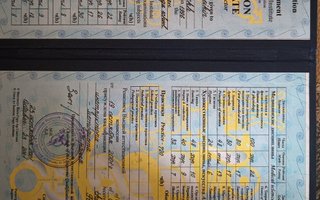 сертификат/документ тренера Виктора Юрьевича Канарейкина