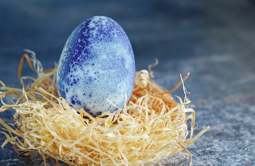 Яйцо, окрашенное каркаде